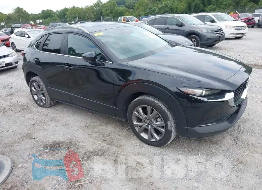 3MVDMBCM1RM650514 Photo# 1