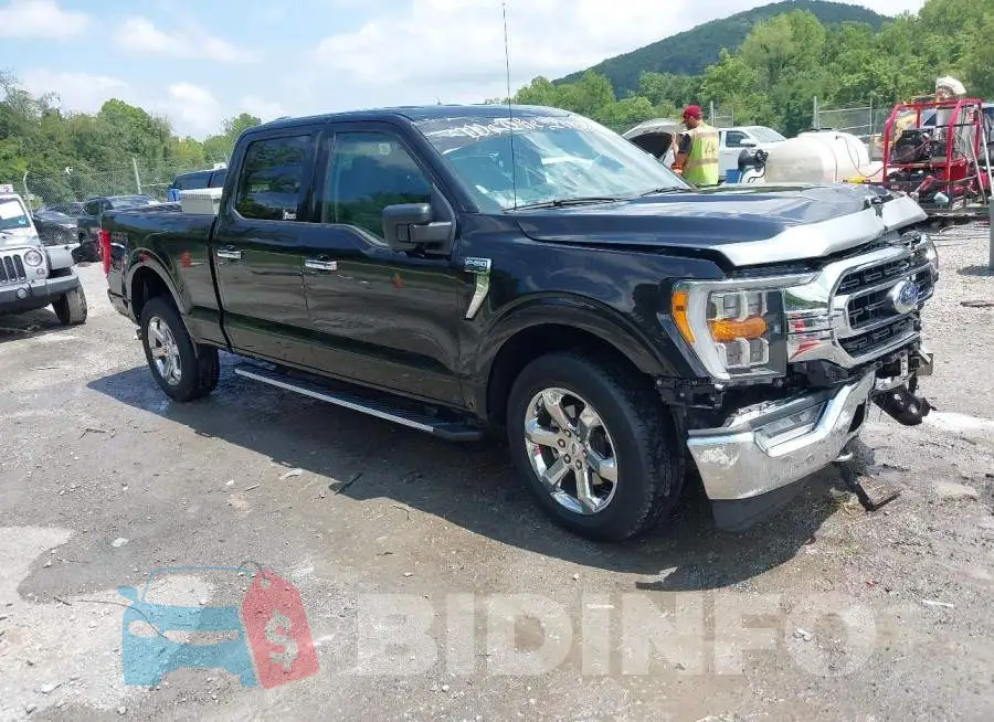 1FTFW1E81MKD68744 Photo# 1