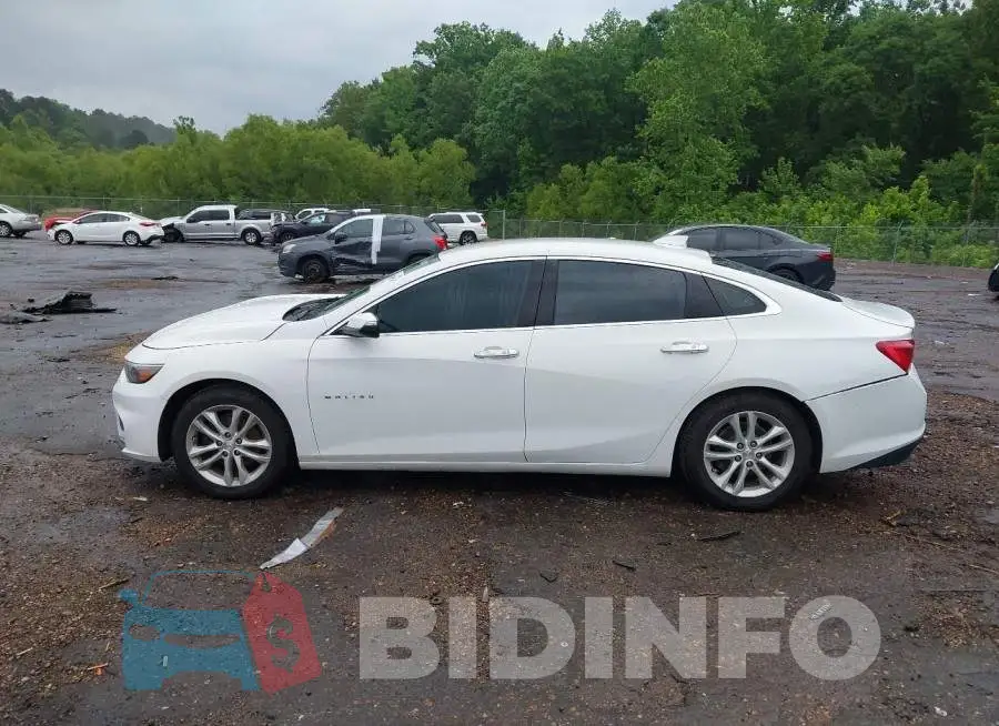 1G1ZD5ST5JF158566 Photo# 15