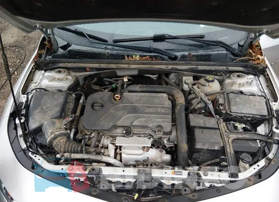 1G1ZD5ST6LF004841 Photo# 10