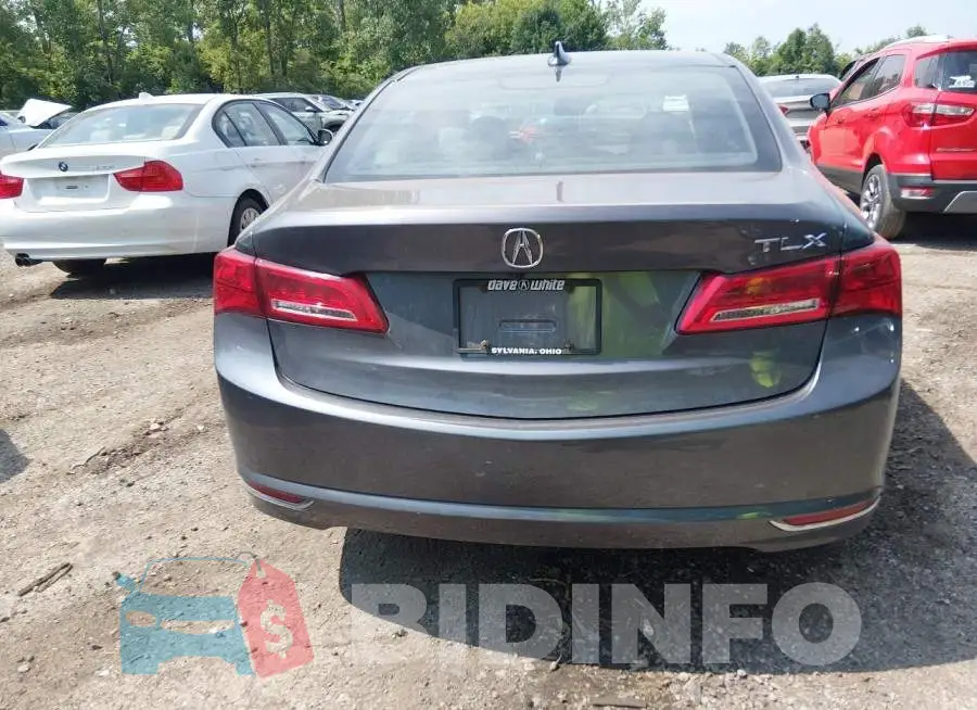 19UUB1F36LA001219 Photo# 16