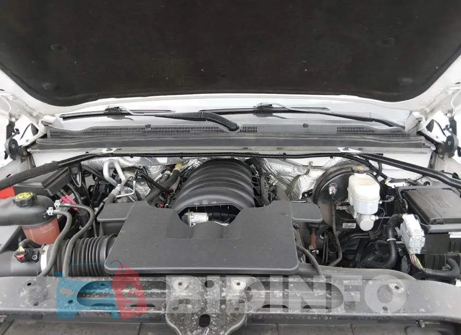 1GNSKBKC3GR236306 Photo# 10