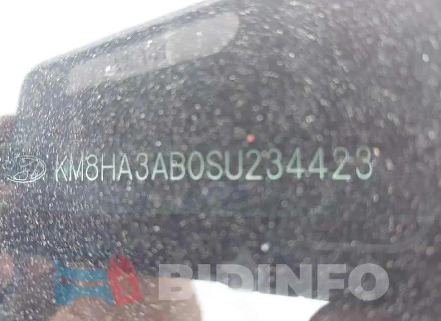 KM8HA3AB0SU234423 Photo# 17