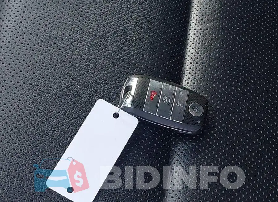 KNDPN3AC3L7834219 Photo# 11