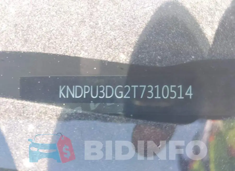 KNDPU3DG2T7310514 Photo# 9