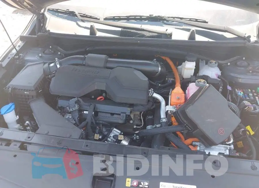 KNDPU3DG2T7310514 Photo# 10
