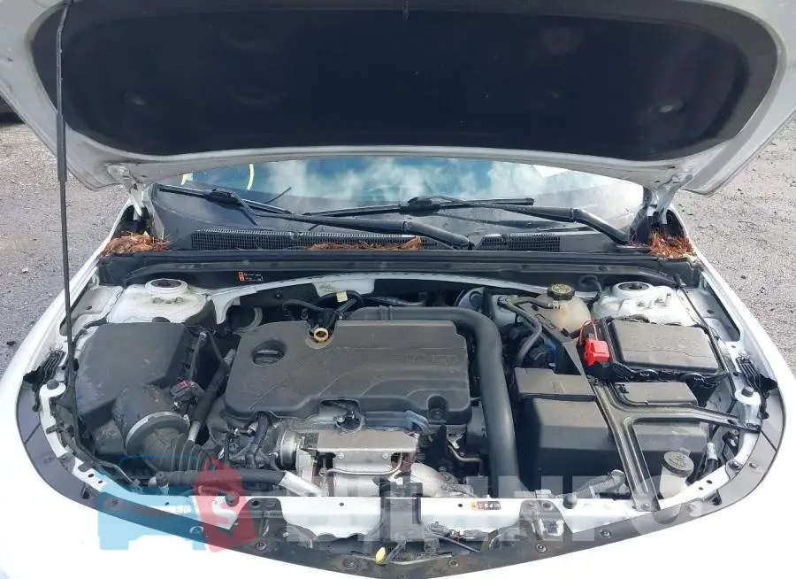 1G1ZD5ST3LF124113 Photo# 10