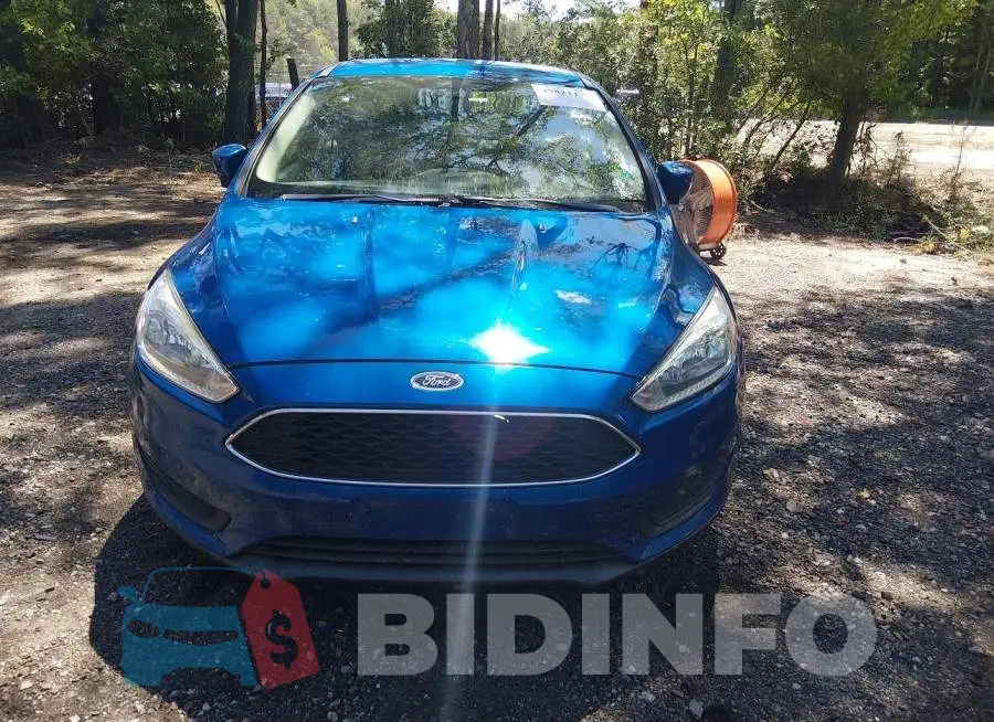 1FADP3F21JL301941 Photo# 12