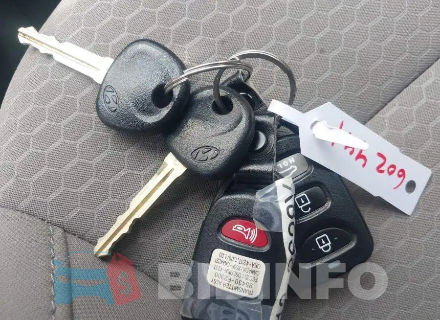 5NPD74LF9LH602441 Photo# 11