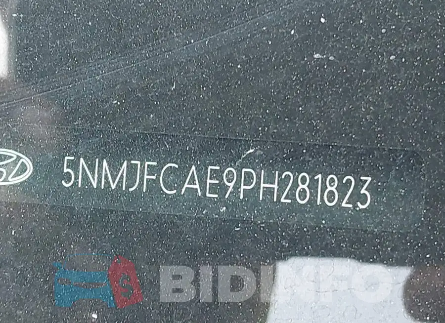 5NMJFCAE9PH281823 Photo# 18