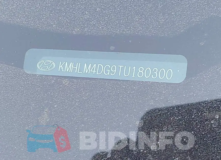 KMHLM4DG9TU180300 Photo# 9