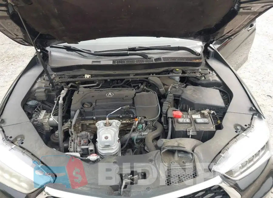 19UUB1F35KA007849 Photo# 10
