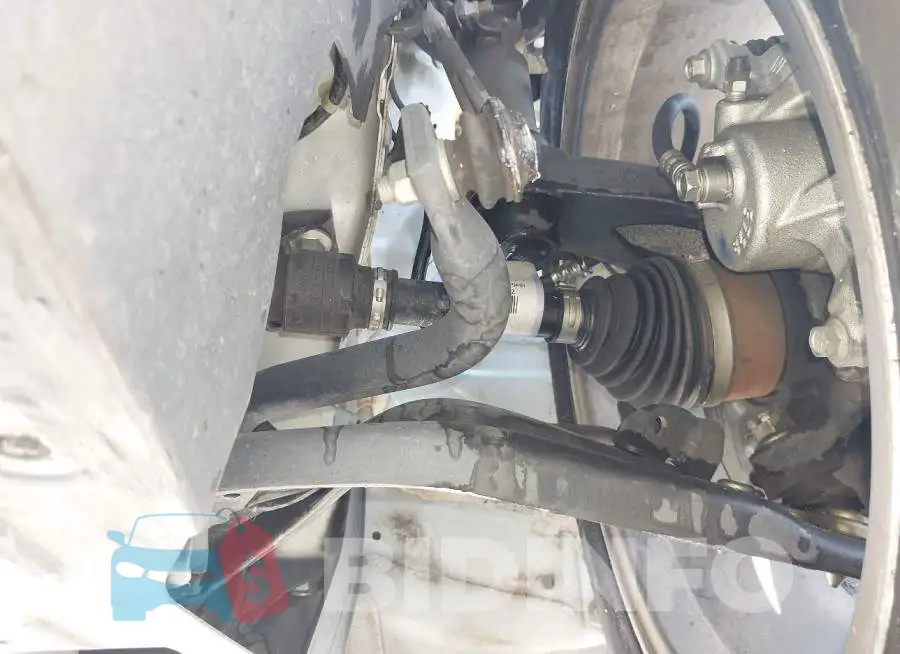19XFC1F39LE220158 Photo# 12