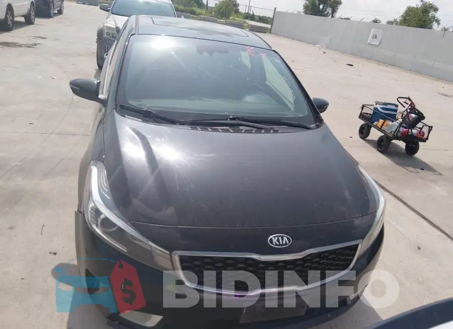 3KPFN4A82HE112809 Photo# 12