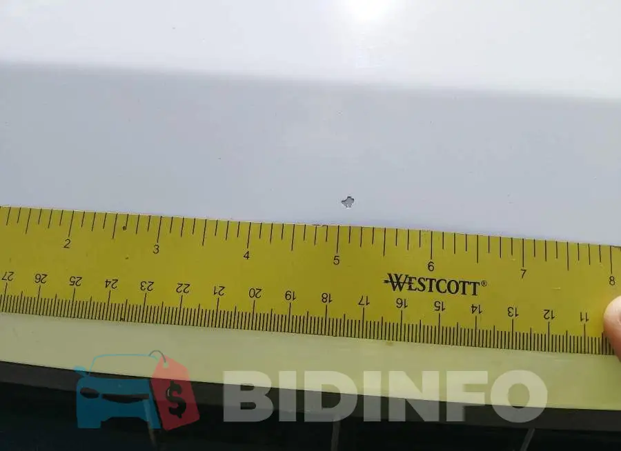 1FTEW1EB8LKF21576 Photo# 12