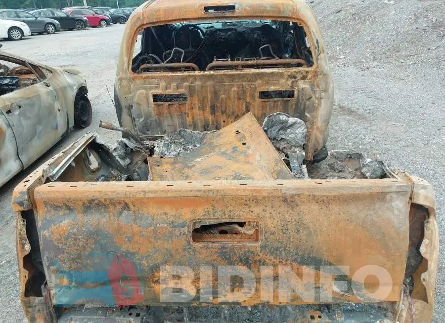 3TYCZ5AN6PT128457 Photo# 20