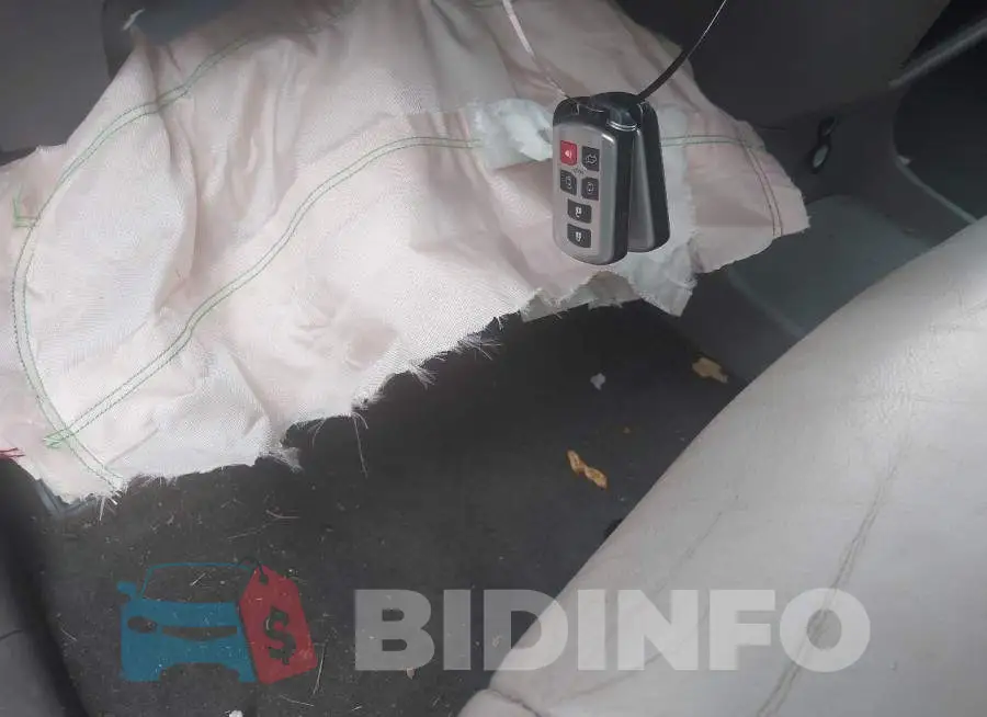 5TDYK3DCXGS725972 Photo# 11
