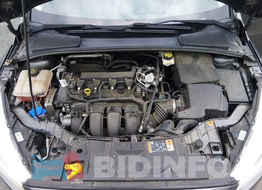 1FADP3F23HL292024 Photo# 10