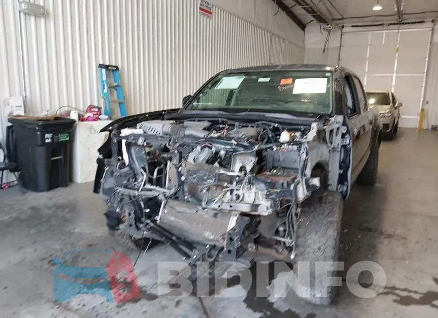 3TMDZ5BN6GM005367 Photo# 6
