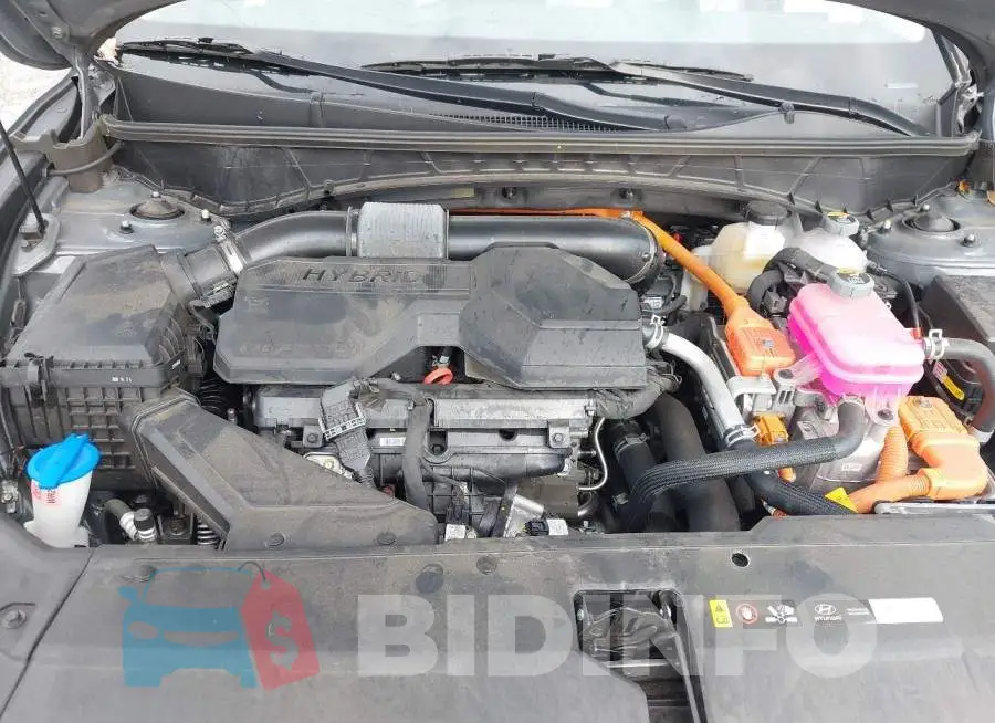 KM8JBDD13TU439856 Photo# 10