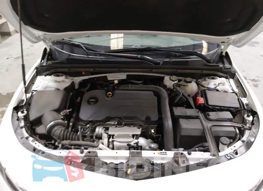 1G1ZD5ST9RF208493 Photo# 10