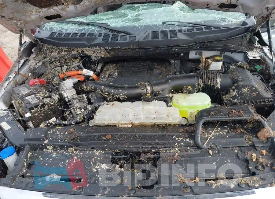 1FTFW1ED4PFD21248 Photo# 10