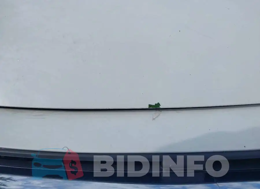 19XFC2F59JE201498 Photo# 10