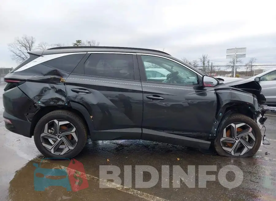 5NMJFCAE6PH229811 Photo# 17
