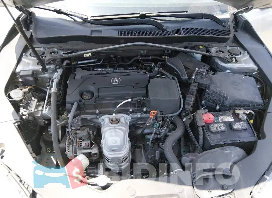 19UUB1F34KA006501 Photo# 10