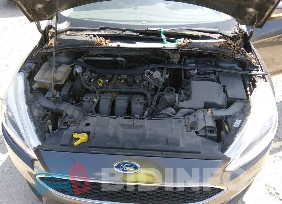 1FADP3F26GL350593 Photo# 10