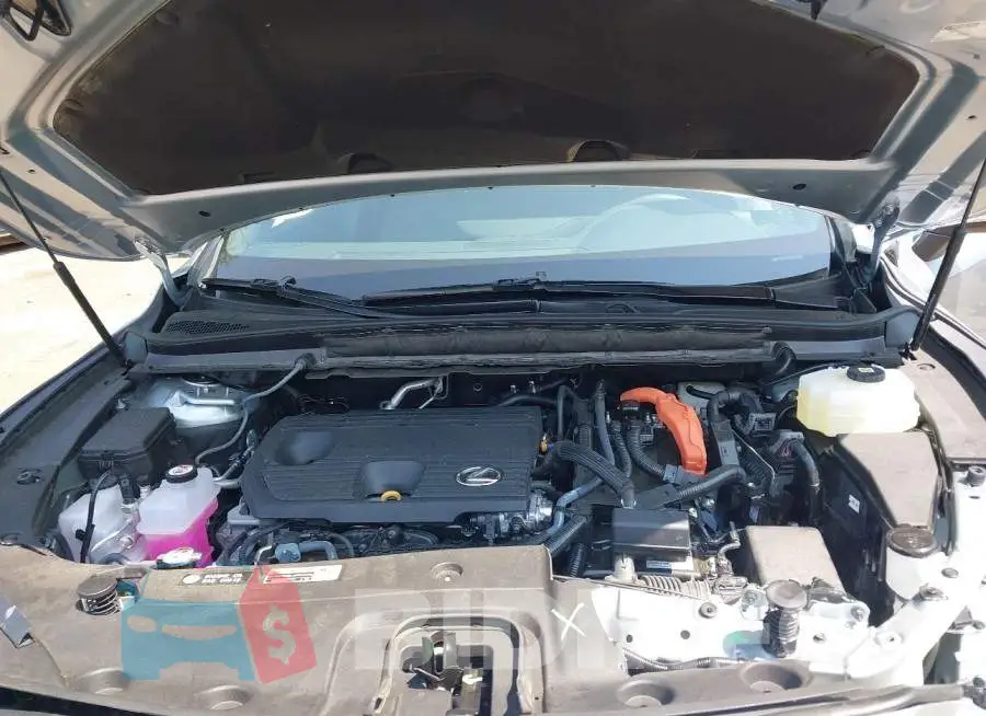 2T2BBMCAXTC129061 Photo# 10