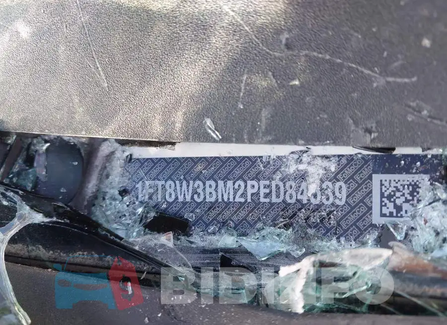 1FT8W3BM2PED84539 Photo# 9