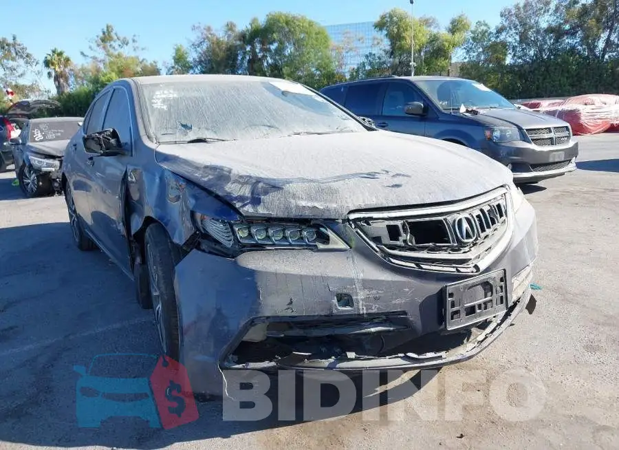 19UUB2F35GA001045 Photo# 6