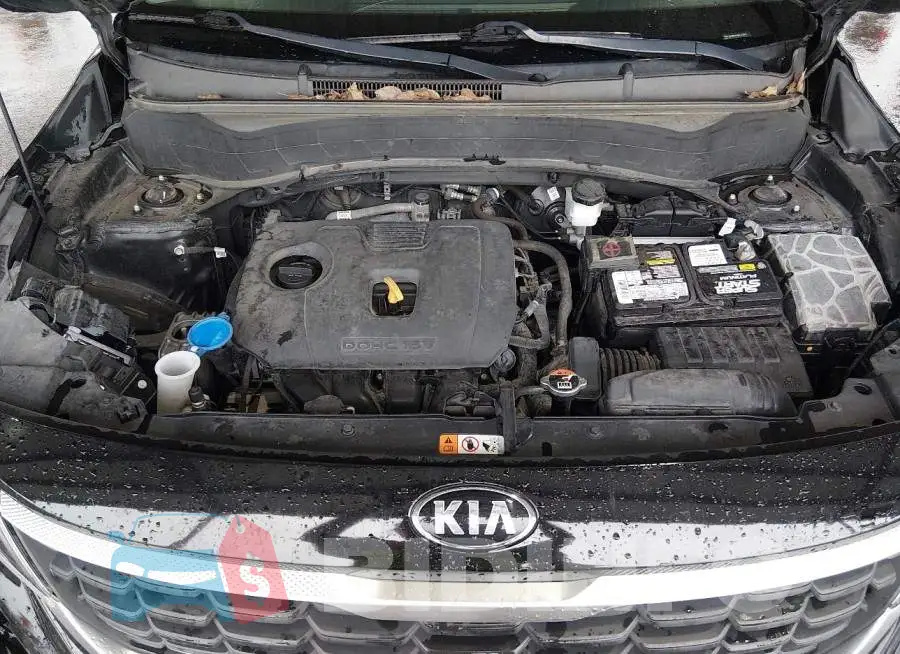 KNDEPCAA1M7044841 Photo# 10