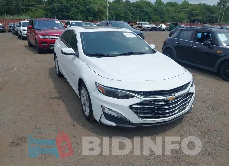 1G1ZD5ST5RF145229 Photo# 6