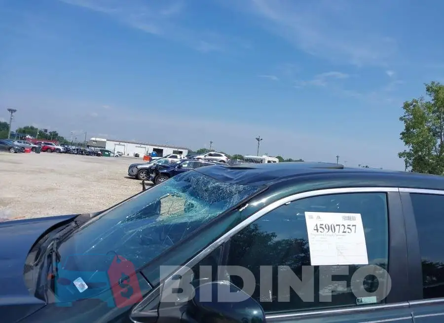 5FNYF6H52JB062183 Photo# 6