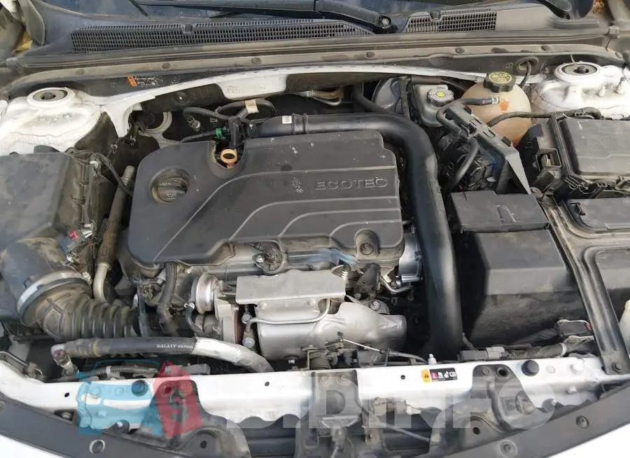 1G1ZD5ST2LF045998 Photo# 10