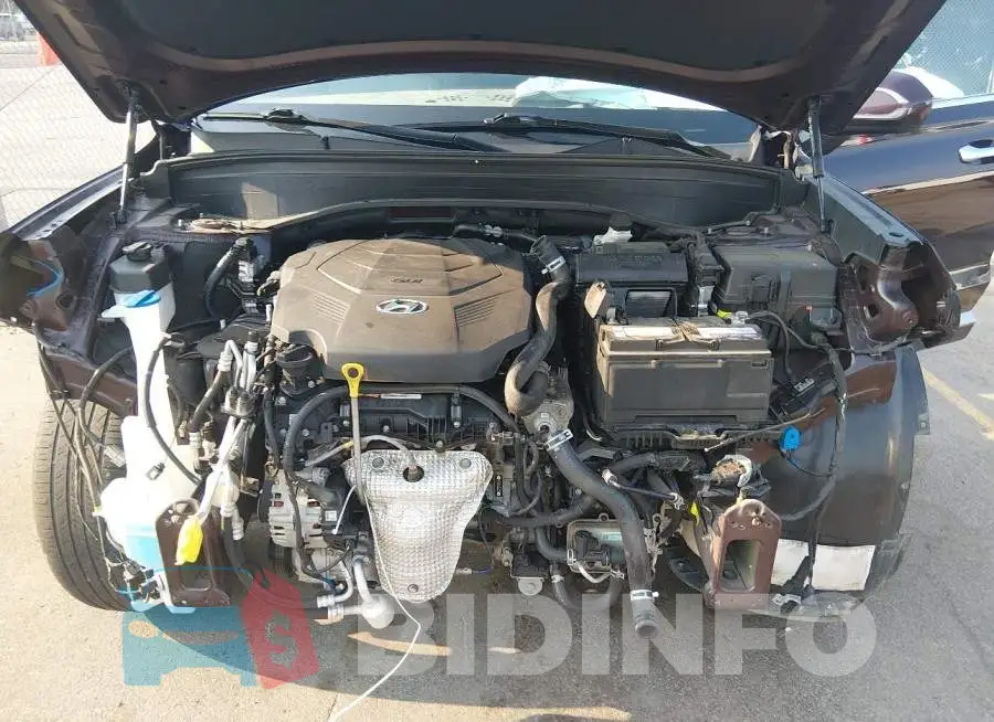 KM8R44HEXNU337550 Photo# 10