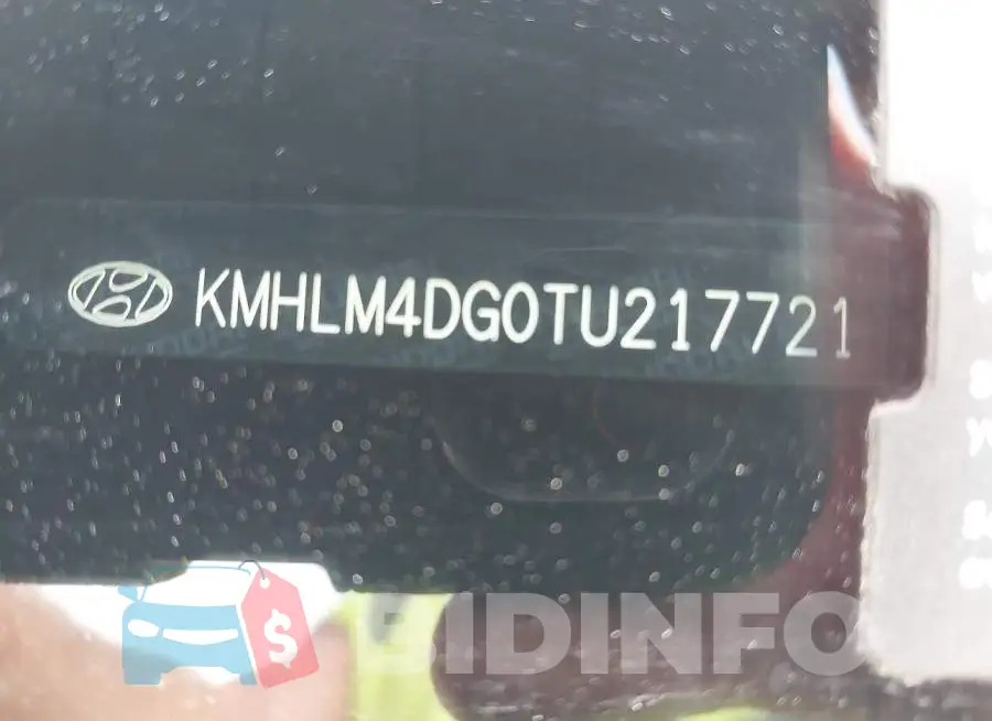 KMHLM4DG0TU217721 Photo# 9