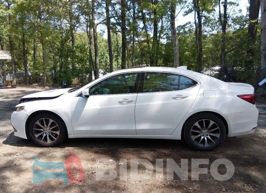 19UUB1F39GA005061 Photo# 14