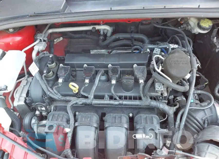 1FADP3K23GL209616 Photo# 10