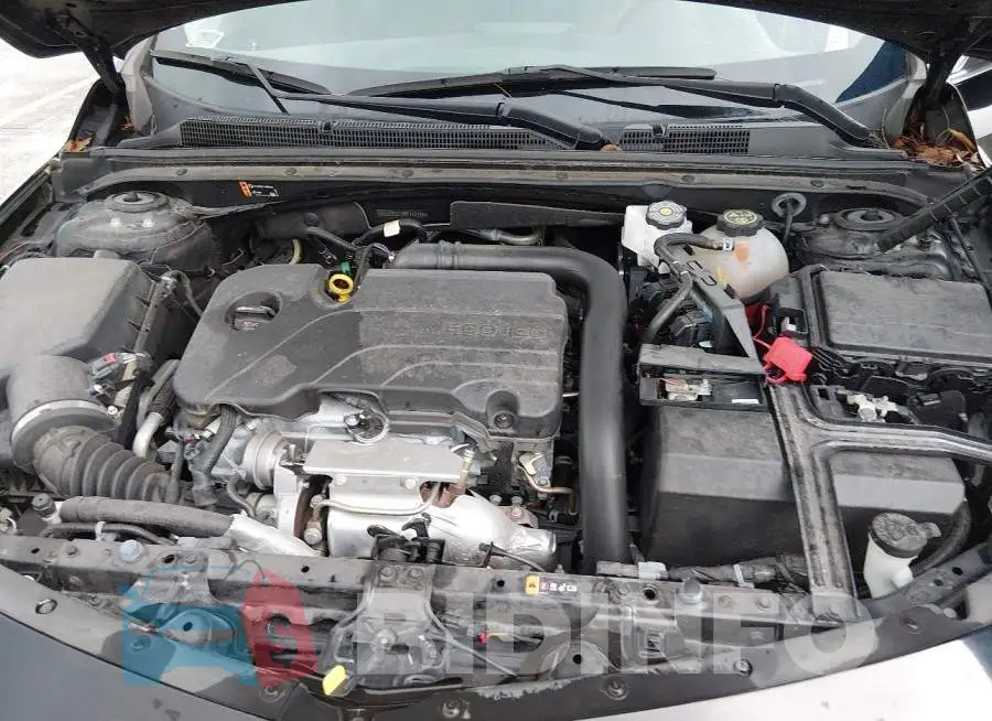 1G1ZD5ST8RF117196 Photo# 10
