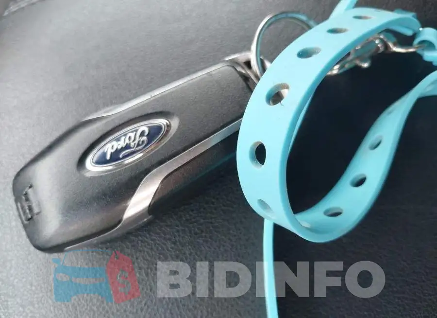 2FMPK4G96GBB84031 Photo# 11