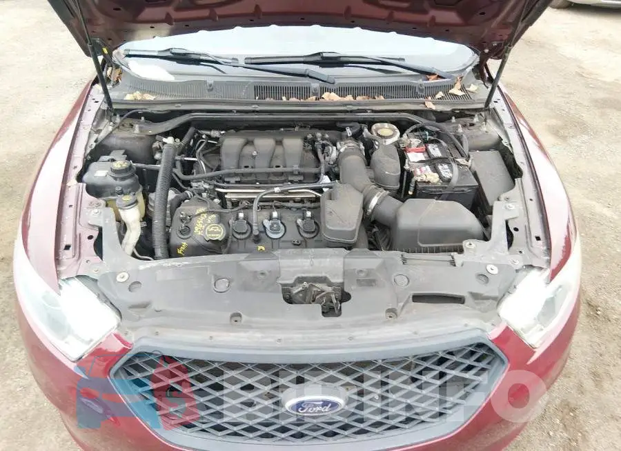 1FAHP2MK3JG135901 Photo# 10