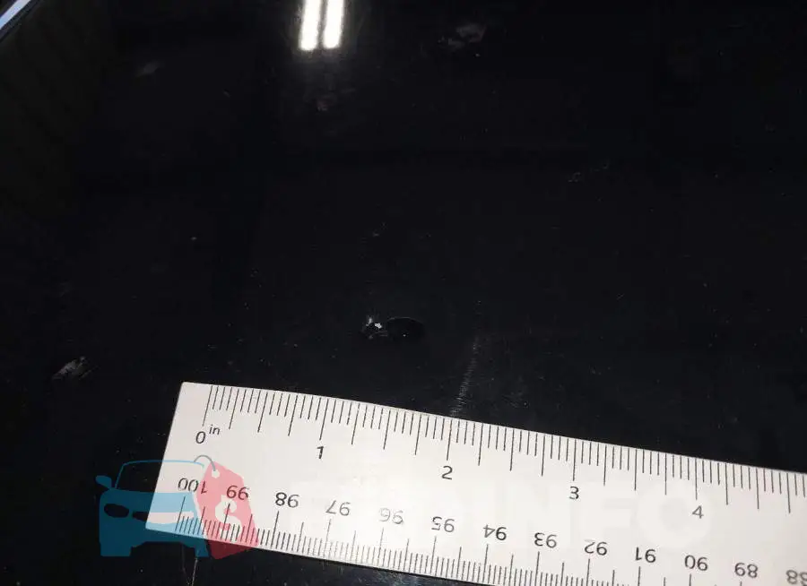 2C3CDXAG1KH513704 Photo# 6