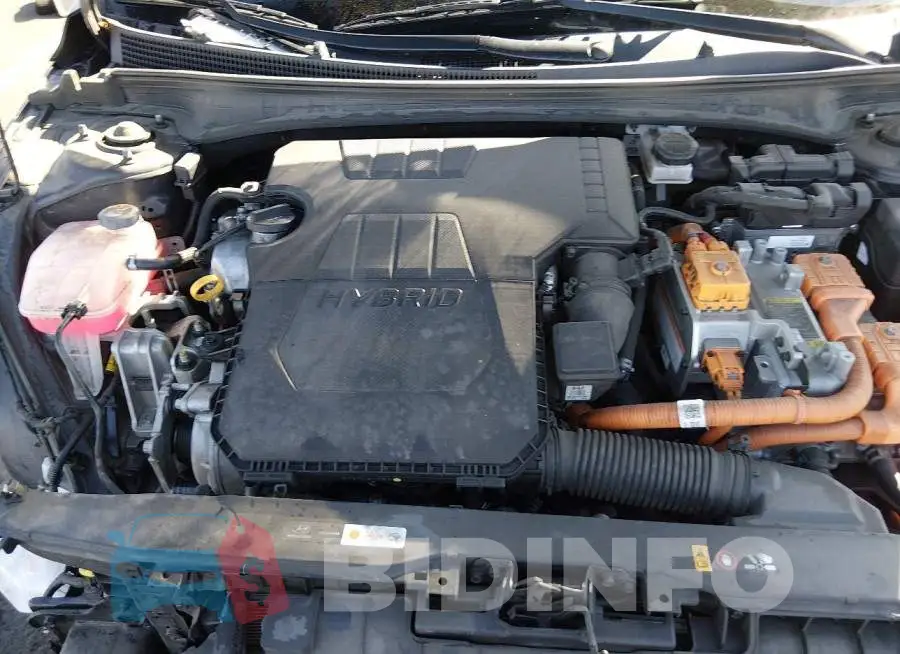 KMHLM4AJ5PU059253 Photo# 10