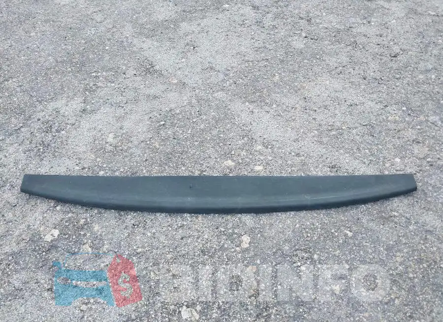 3C63R3GT1GG318596 Photo# 12