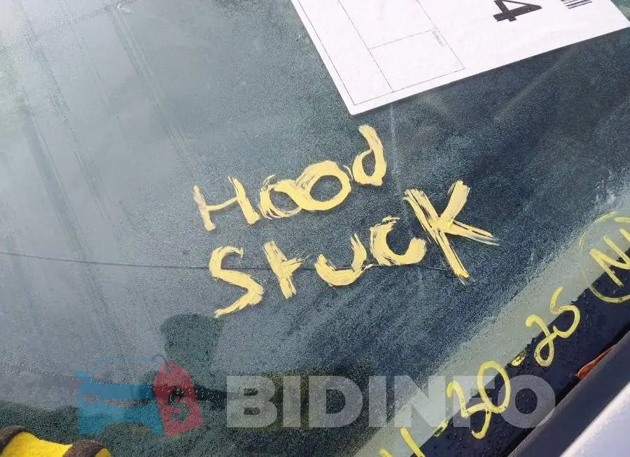 3FADP4TJ7GM171348 Photo# 10