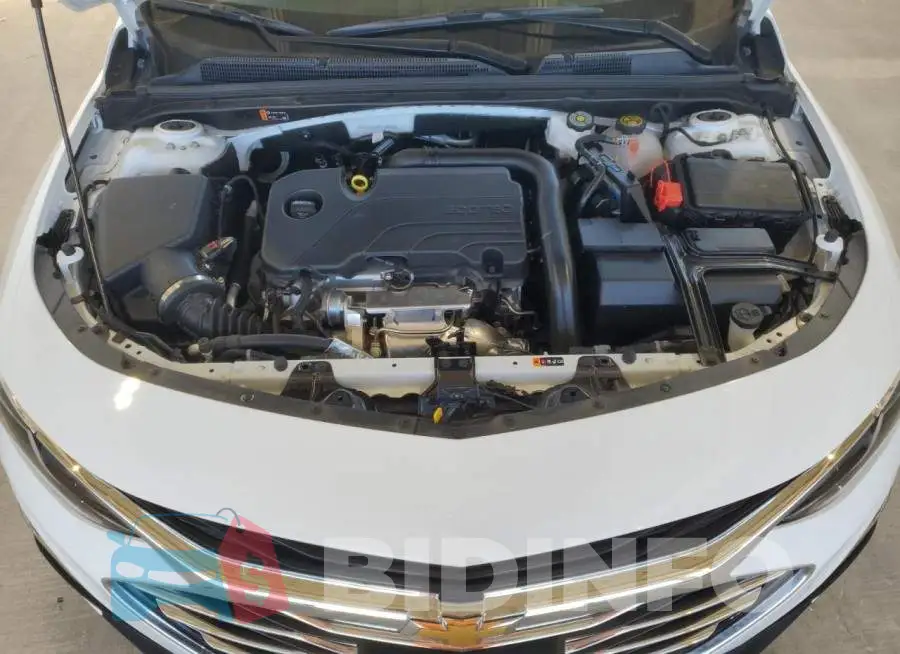 1G1ZD5ST4RF118815 Photo# 11