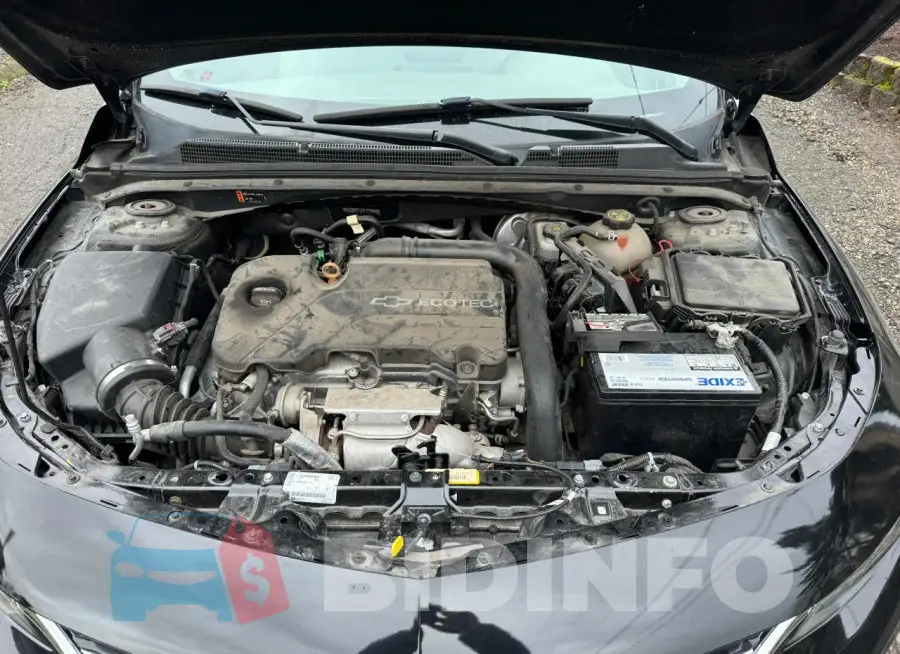 1G1ZB5ST7JF175651 Photo# 7